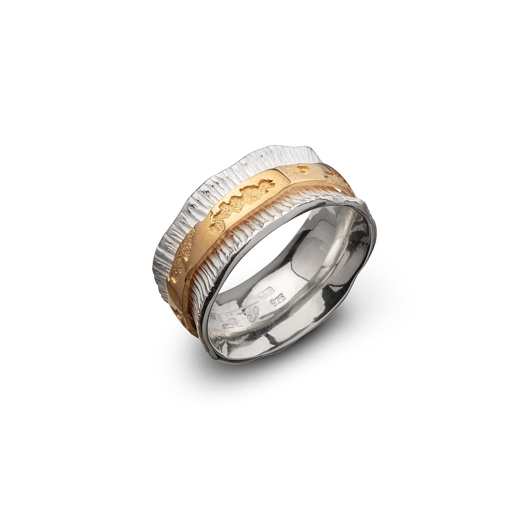silverring, partly gold-plated, unisex